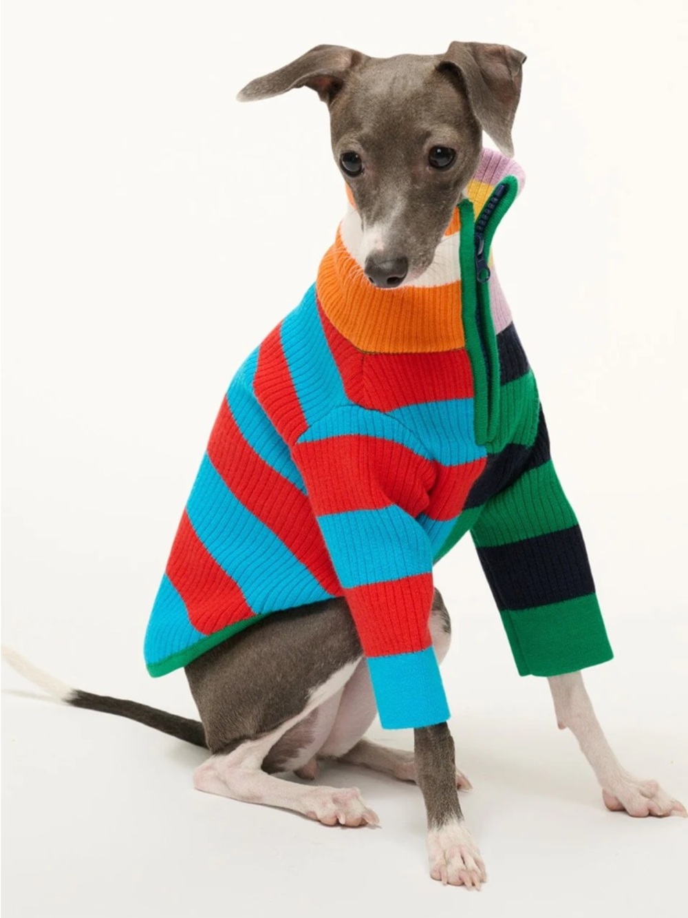 Staud Pet Hampton Sweater Cabana Stripe Multi